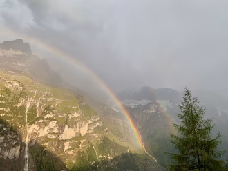 2026 Regenbogen_Schwarzmoench_rh