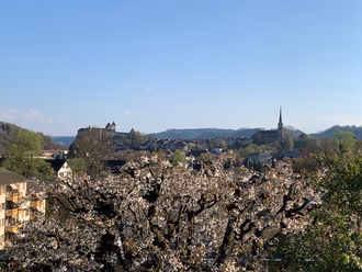Predigt Frühling